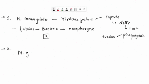 the-bacterium-neisseria-meningitidis-the-meningococcus-the-causative-agent-of-bacterial-meningitis-carries-a-potent-virulence-factor-what-is-the-most-likely-identity-of-this-factor-a-anti-ph-91971