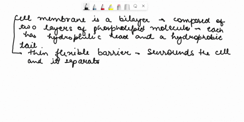question-13-02-pts-which-of-the-following-are-compounds-found-in-cell-membranes-phospholipids-proteins-cholesterol-all-of-the-above-question-14-02-pts-diffusion-is-an-example-of-transport-in-31537