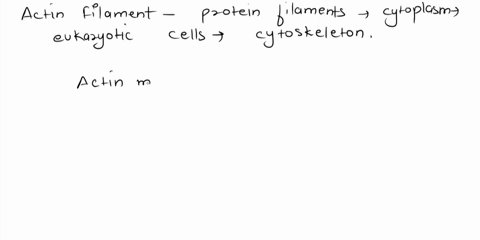 true-or-false-actin-microfilaments-are-found-in-flagella-and-cilia-and-are-also-responsible-for-the-movement-of-chromosomes-during-cell-division-92336