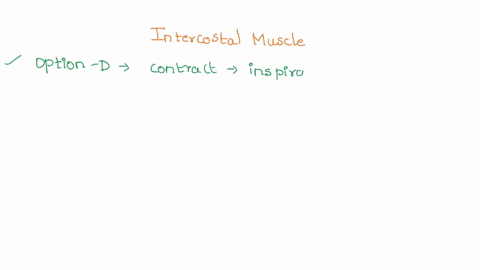 what-role-do-the-intercostal-muscles-play-in-inspiration-and-expiration-a-they-move-down-causing-ins-93983