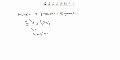 fill-in-the-details-describe-and-label-the-sources-of-genetic-variation-in-meiosis-in-the-diagrams-below-starting-with-the-first-cell-containing-two-pairs-of-chromosomes-be-sure-to-include-l-17448
