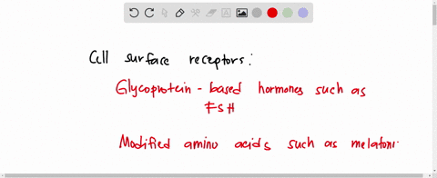 which-hormones-bind-t0-receptors-on-the-cell-surface-and-which-bind-to-receptors-within-the-cell-cell-surface-receptors-receptors-inside-the-cell-answer-bank-small-nonpolar-thyroid-hormones-68268