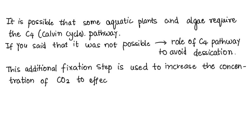 SOLVED Aquatic plants and algae carry out photosynthesis using the
