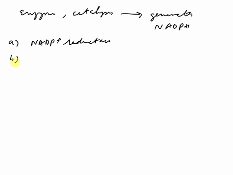 it-was-pointed-out-in-class-that-this-is-the-enzyme-that-catalyzes-the-reaction-that-generates-nadph-a-nadp-reductase-b-tyrosine-kinase-c-phospholipase-c-d-rubisco-e-atp-synthase-85535