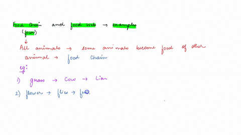 explain-food-chain-and-food-web-with-examples-examples-of-the-food-chain-and-at-least-one-of-food-web-30736
