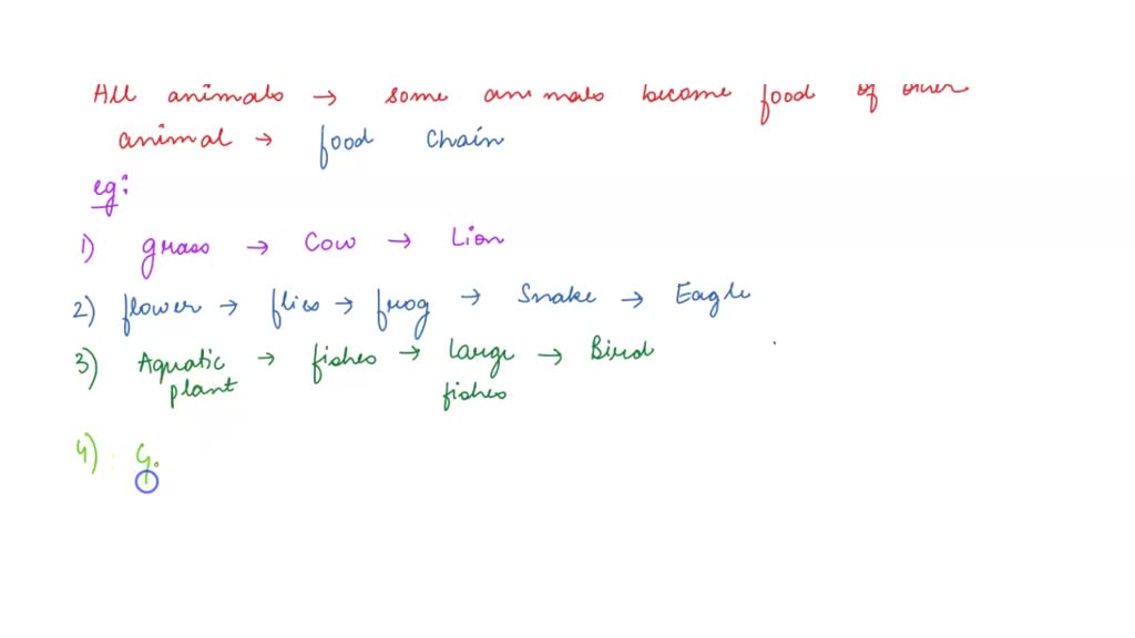 SOLVED: Explain food chain and food web with examples? examples of the