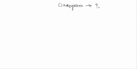each-branching-point-in-a-cladogram-a-is-called-a-root-b-represents-a-clade-c-represents-the-diver-2-14579