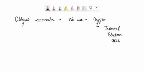 which-organisms-category-utilize-both-oxygen-and-inorganic-compounds-as-terminal-electron-acceptors-a-obligate-anaerobes-b-microaerophiles-c-facultative-anaerobes-d-obligate-aerobes-e-aeroto-08423