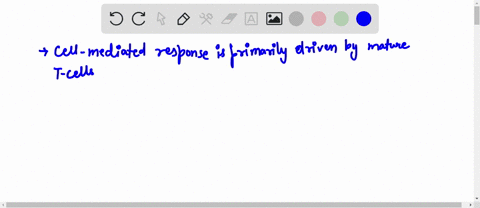 question-24-1-point-true-or-false-exogenous-antigens-are-detected-by-the-cell-mediated-response-a-true-b-false-13551