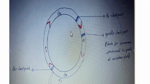 where-does-m-checkpoint-located