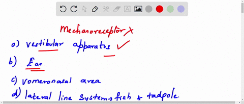 3102520-4-naljel-unsweied-which-of-the-following-sense-organs-is-nol-based-on-mechanoreceplion-select-one-veslibulat-apparalus-mhorked-out0r-10-fl9-qucston-ear-vomeronasal-area-jacobson-orga-56572