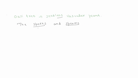 is-ovary-of-an-oak-tree-both-haploid-and-diploid-explain-your-argument-02661