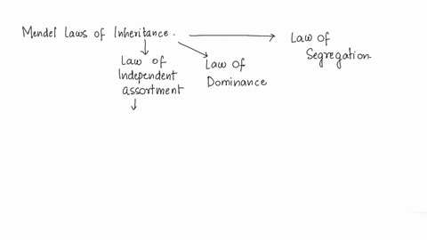 which-of-the-following-best-describes-the-concept-of-independent-assortment-group-of-answer-choices-a-2n-where-n-number-of-chromosomes-b-gametes-receive-one-of-each-chromosome-pair-but-which-87262
