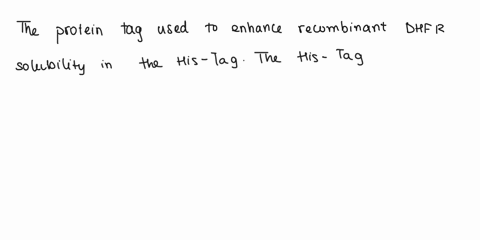 which-protein-tag-did-we-use-to-increase-recombinant-dhfr-solubility-33515