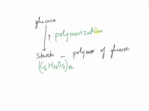 the-process-by-which-glucose-is-converted-into-starch-is-know-as-64136