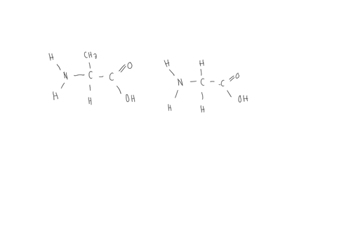 answer-number-9-with-a-visual-attachment-and-answer-number-10-peptide-bonds-proteins-are-polymers-of-amino-acids-chained-together-via-peptide-bonds-a-peptide-bond-is-a-condensation-reaction-82443
