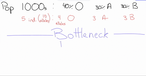 genetic-bottlenecks-have-shaped-the-genetic-diversity-of-many-human-populations-considering-how-well-small-sample-can-represent-binary-ie-_-two-allele-at-the-same-locus-o-or-multiple-allele-78896