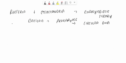 why-do-scientists-believe-that-mitochondria-and-chloroplasts-were-originally-independent-organisms-that-eventually-became-part-of-eukaryotic-cells-via-endosymbiosis-note-this-question-is-ask-42515