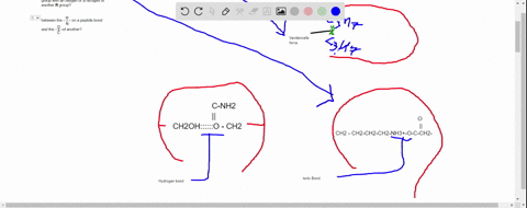 the-conformation-of-a-polypeptide-is-dependent-on-the-interactions-between-and-among-amino-acids-namely-hydrogen-bonds-electrostatic-interactions-also-called-ionic-bonds-or-salt-bridges-and-74955