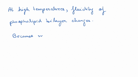 the-temperature-at-which-a-phospholipid-membrane-transitions-from-rigid-to-a-fluid-state-is-referred-to-as-fill-in-the-blank-47586
