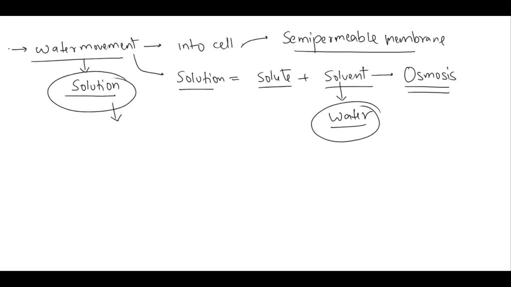 IS WATER HYPOTONIC intelligence overview