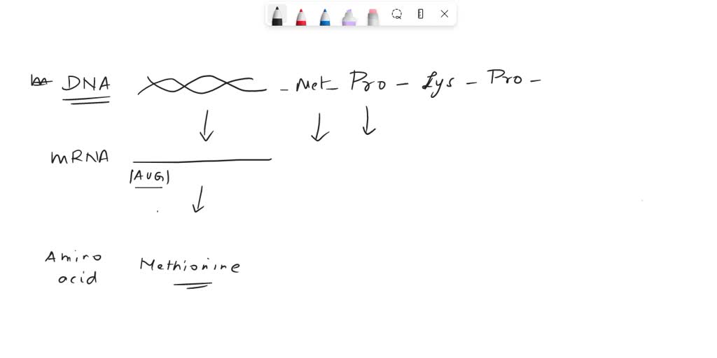 Solved: Can The Amino Acid Sequence Of A Polypeptide Chain Be Used To 