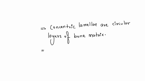 which-statements-characterize-concentric-lamellae-of-osteons-they-are-rings-of-bone-tissue-they-contain-collagen-fibers-their-numbers-vary-among-osteons-they-contain-blood-vessels-and-nerves-they-are