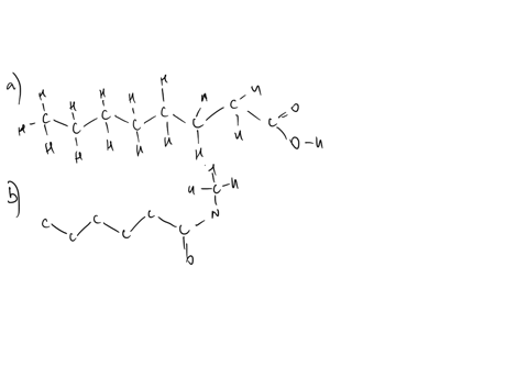 question-2-carboxylic-acids-and-their-derivatives-21-write-a-structural-formula-for-each-of-the-following-compounds-10-a-octanoic-acid-b-mathrmn-mathrmn-diethylhexanamide-c-isobutyl-propanoate-d-trans