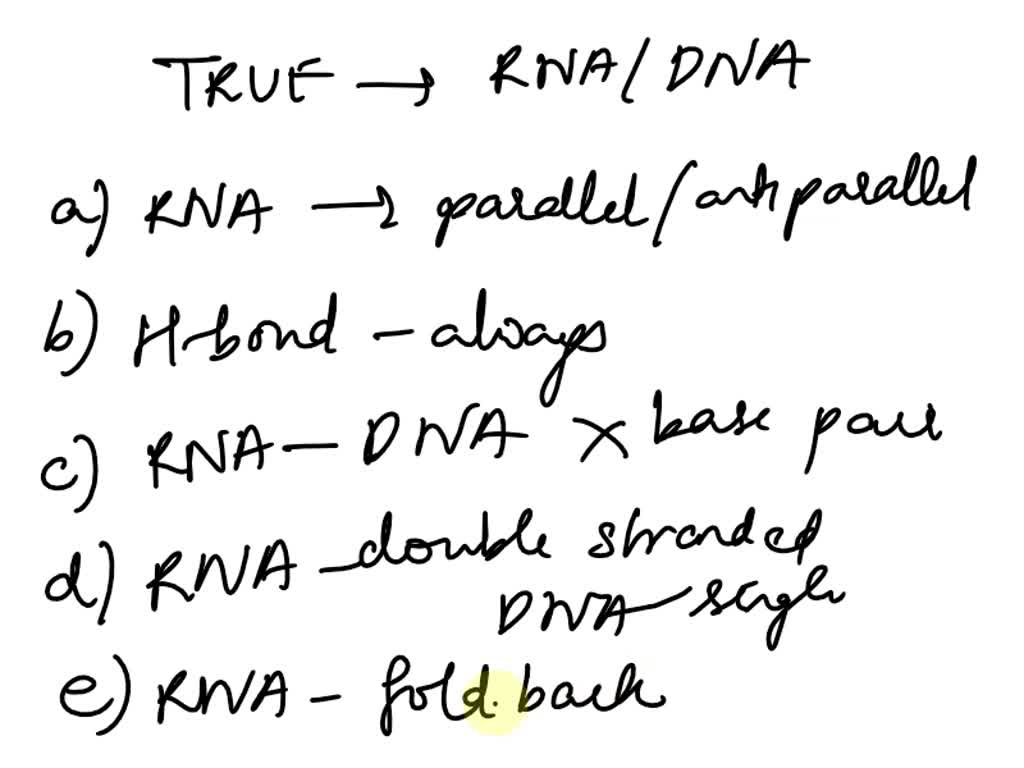 SOLVED Which of the following is not true about RNA structure? O A