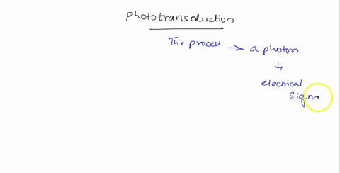 describe-the-process-of-phototransduction-that-takes-place-in-the-human-eye-a-i-e-6-1-12pt-79124