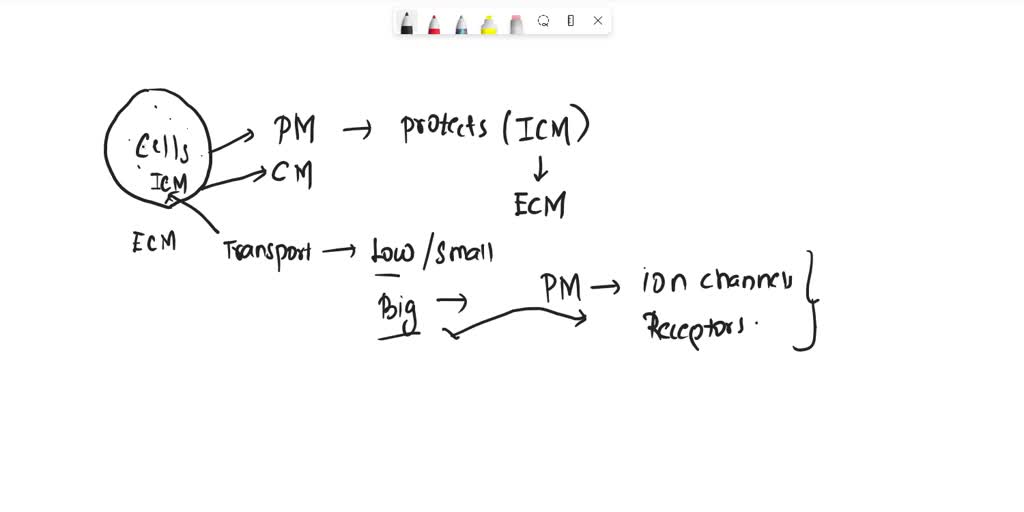 SOLVED The slowest type of molecule transport is transverse diffusion