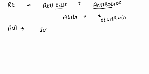 what-happens-if-antibodies-attach-to-antigens-on-the-red-blood-cells-61268