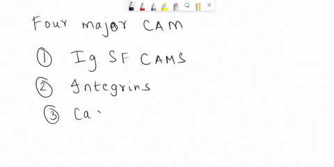 which-of-the-following-cell-adhesion-molecules-cams-has-ca2-dependency-for-its-function-a-cadherins-b-ig-superfamily-c-mucins-d-integrins-33336