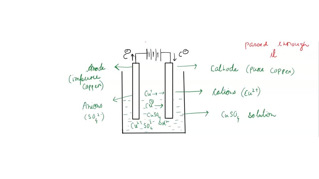 Draw a neat labelled diagram of Water purification system inwater  works.PLEASE FAST........​ - Brainly.in