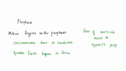 match-the-stage-of-mitosis-with-the-events-that-within-it-spindle-microtubules-attach-to-kinetochores-cytokinesis-generally-begins-metaphase-banaphase-prometaphase-dtelophase-prophase-chroma-32808