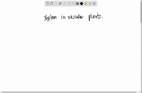 question-39-vascular-plants-use-several-properties-of-water-to-move-water-through-strongest-force-that-moves-water-is-controlled-by-water-xylem-moving-by-osmosis-into-the-roots-phloem-moving-55458