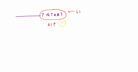 why-does-promoter-efficiency-tend-to-decrease-with-the-number-of-g-c-base-pairs-in-the-10-region-of-a-prokaryotic-gene-describe-the-sequence-of-events-involved-in-the-initiation-of-rna-trans-50302