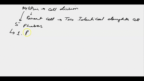 during-which-stage-of-a-cells-cycle-do-the-replicated-chromosomes-thicken-and-become-visible-04526