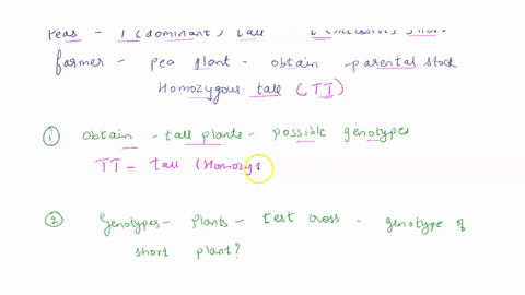 in-peas-the-allele-for-tall-plants-t-is-dominant-over-the-allele-for-short-plants-t-a-farmer-growing-pea-plants-for-seed-would-like-to-obtain-parental-plant-stock-that-is-homozygous-tt-for-t-02327