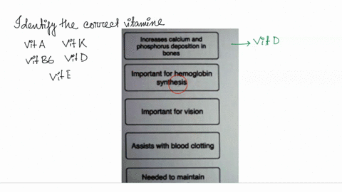 match-the-major-role-the-body-with-the-appropriate-vitamin-use-roles-only-once-not-all-roles-will-be-used-icroasas-calaum-and-phoconc-us-dccosion-aonia-vitamin-vitamin-important-tor-hemoglob-67884