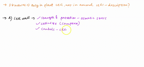 plant-cell-select-all-of-the-structures-that-are-present-in-a-typical-plant-cell-but-are-not-found-in-animal-cells_-and-then-provide-a-brief-description-of-the-function-of-these-plant-specif-43128