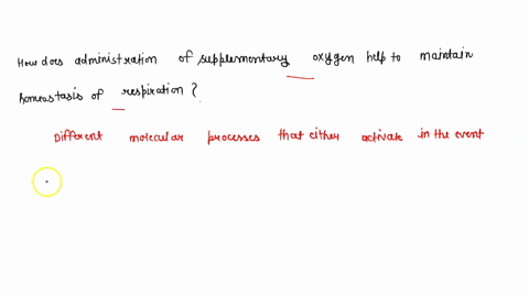 how-does-administration-of-supplementary-oxygen-help-to-maintain-homeostasis-of-respiration