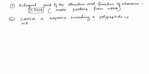what-rnas-are-associated-with-these-functions-choose-only-one-for-each-an-integral-part-of-the-structure-and-function-of-ribosomes-choose-trna-dsrna-mrna-hetrna-sirna-rrna-carries-a-sequence-03068
