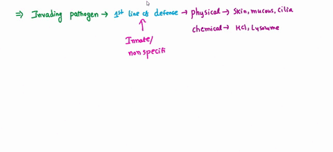 what-is-the-immune-systems-first-line-of-defense-against-invading-pathogens-14866