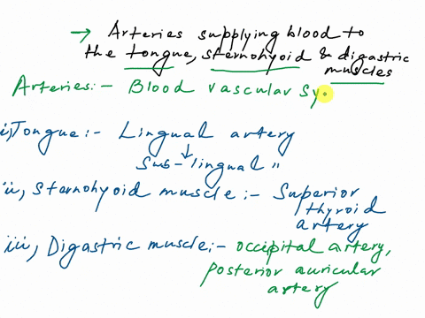 7-the-occipital-triangle-lie-directly-above-0-the-inferior-belly-of-the-omohyoid-the-anterior-belly-of-the-digastric-muscle-the-posterior-belly-of-the-digastric-muscle-none-of-the-above-8-al-86437