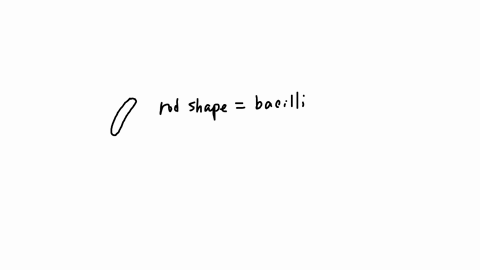 draw-the-bacterial-shape-and-name-bacterial-arrangwment