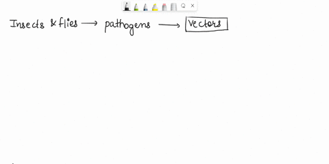 4-insects-and-flies-that-are-responsible-fortransfer-of-pathogen-are-called-49166