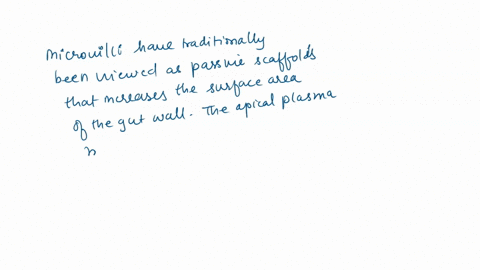 one-of-the-key-features-of-villi-and-microvilli-in-the-digestive-system-is-their-finger-like-project-61113