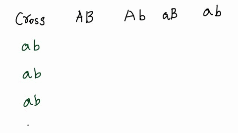 genes-a-and-b-are-located-on-the-same-chromosome_-if-two-individuals-with-the-genotype-shown-below-are-crossed-which-genotype-could-be-formed-ab-ab-ab-ab-ab-a_-ab-ab-b-ab-ab-c-ab-ab-d-ab-01988