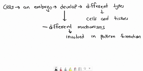 1-pattern-formation-is-a-central-process-in-embryology-describe-in-your-own-words-three-examples-of-pattern-formation-and-explain-what-the-pattern-is-that-has-to-be-generated-2-contrast-the-06641
